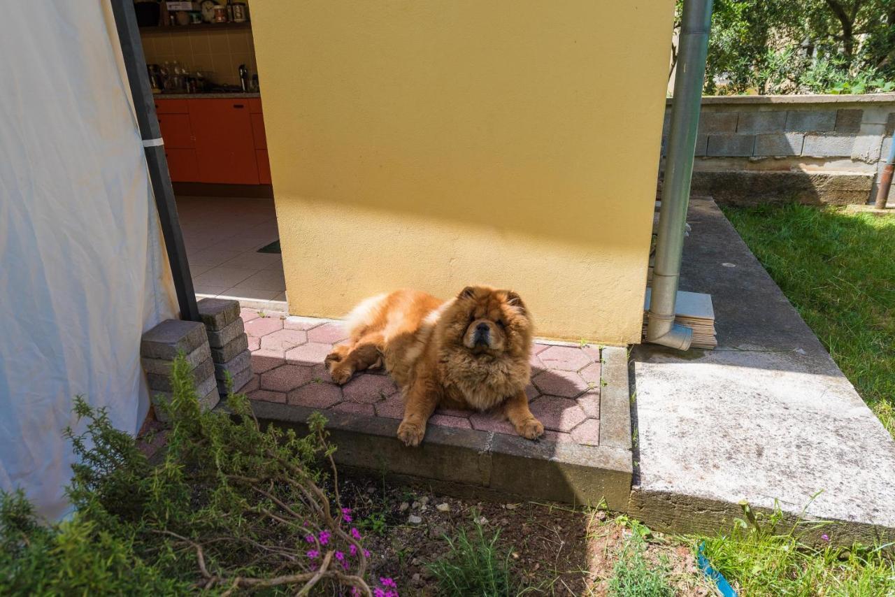 Dali Apartman Zára Kültér fotó
